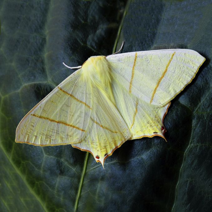 Turismo Astronómico