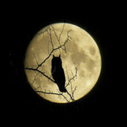 Turismo Astron&oacute;mico